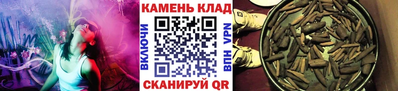 ГАШИШ Изолятор  Светогорск 