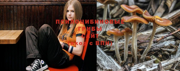 крисы Богородицк