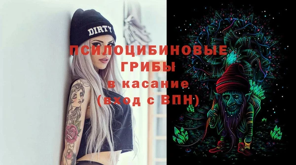 крисы Богородицк
