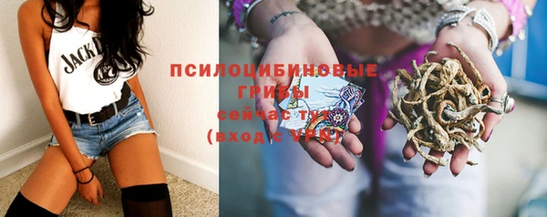 мяу мяу кристалл Богданович