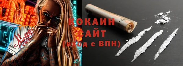 крисы Богородицк