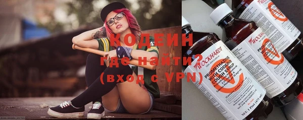 крисы Богородицк