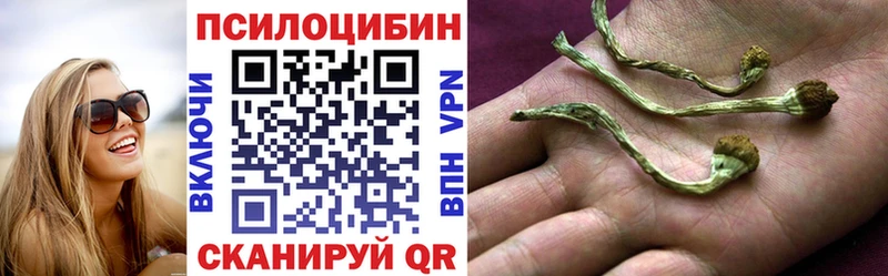 как найти   Светогорск  Псилоцибиновые грибы ЛСД 